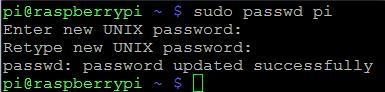 sudo passwd pi